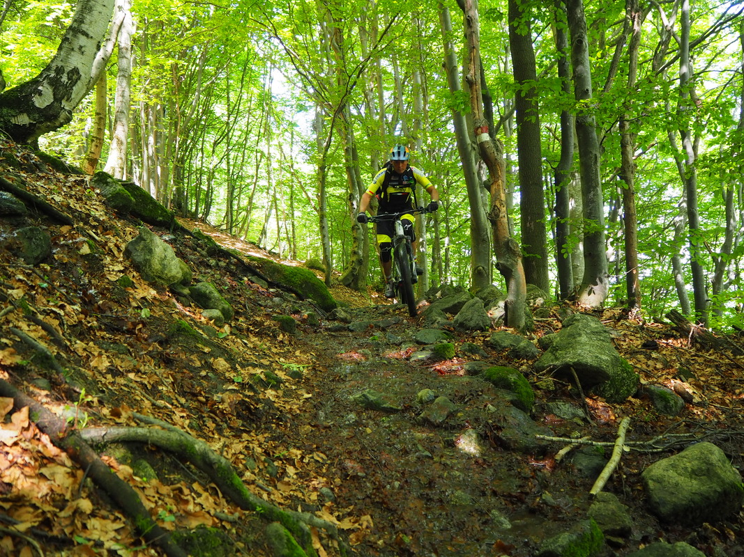 MTB Alpi Marittime e Liguri