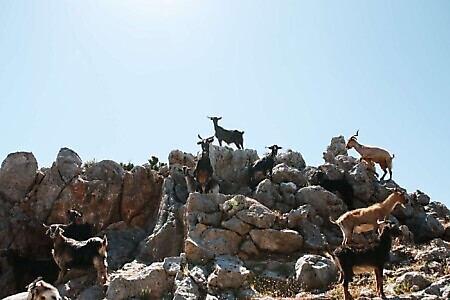 GRECIA CLIMBING TRIP