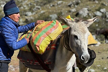 TREKKING nella CORDILLERA HUAYHUASH – PERU’