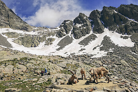 Corso di Alpinismo Base 2026 al Rifugio Remondino