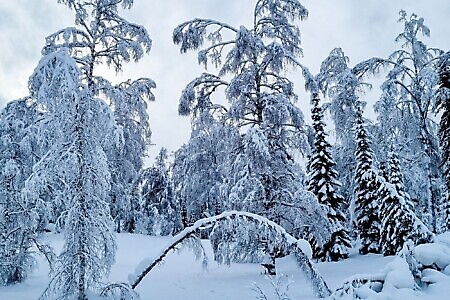 RIDDER, scialpinismo nella powder siberiana del Kazakistan
