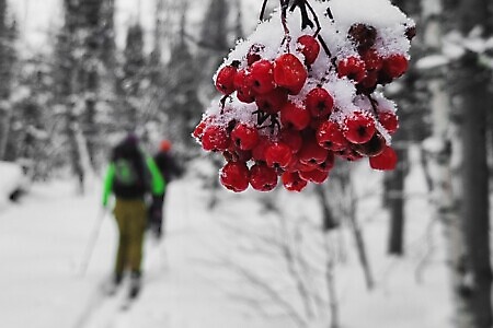 RIDDER, scialpinismo nella powder siberiana del Kazakistan